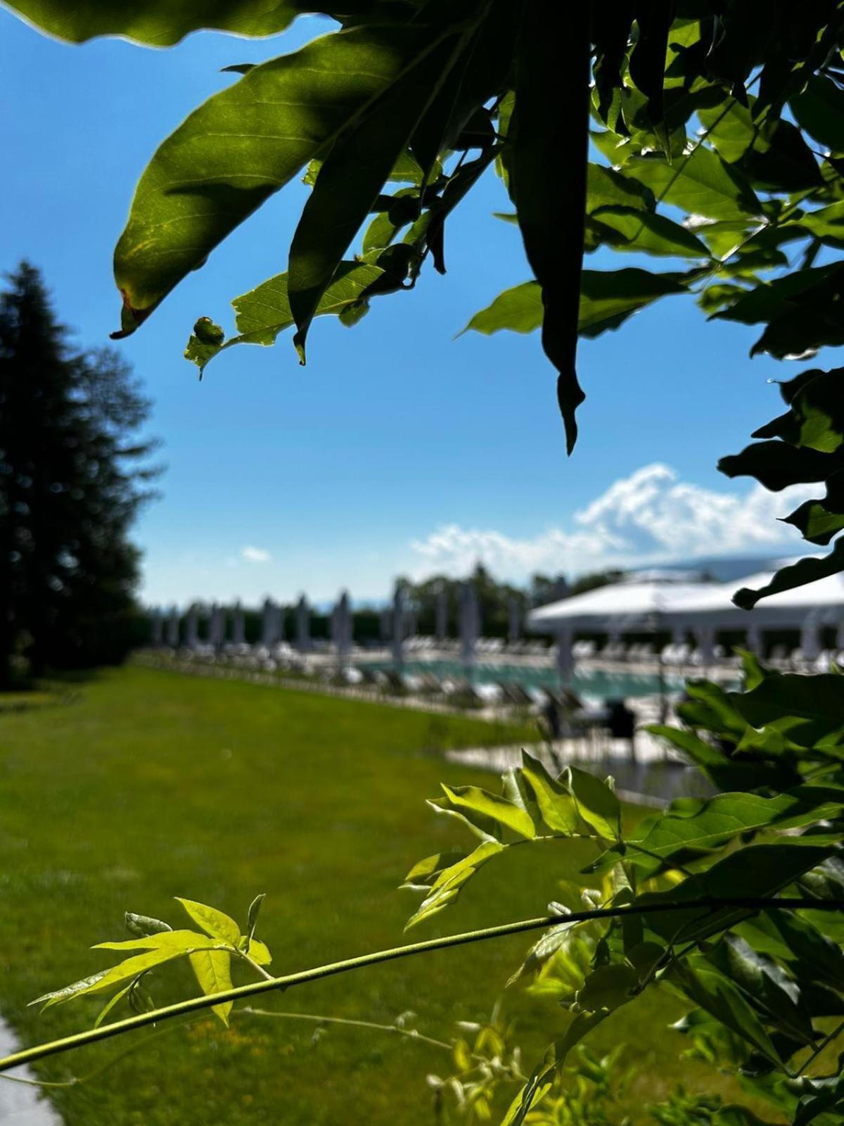 Belchin Garden Spa&Wellness Extérieur photo